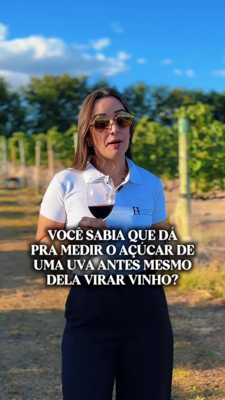 Vídeo vertical produzido pela Dbox para o cliente Horus Vinhos e Vinhedo